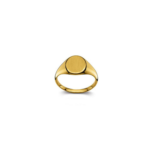 Plattenring Gold 750 matt/poliert