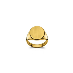 Plattenring Gold 750 matt/poliert