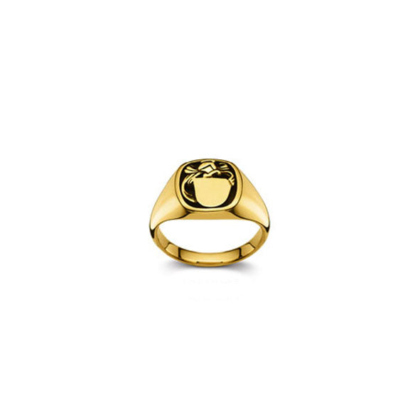 Plattenring Gold 750 matt/poliert