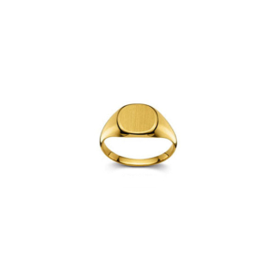 Plattenring Gold 750 matt/poliert