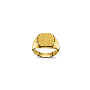 Plattenring Gold 750 matt/poliert