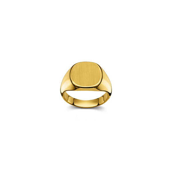 Plattenring Gold 750 matt/poliert
