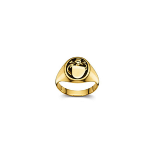 Plattenring Gold 750 matt/poliert