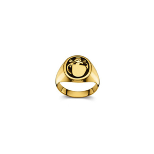 Plattenring Gold 750 matt/poliert