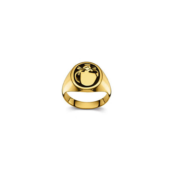 Plattenring Gold 750 matt/poliert