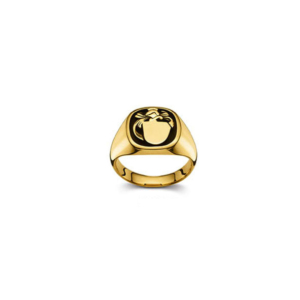 Plattenring Gold 750 matt/poliert