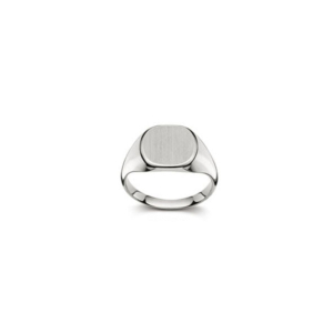 Plattenring Weissgold 750 matt/poliert